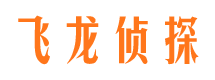 新绛市调查公司